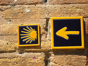 Mi Camino